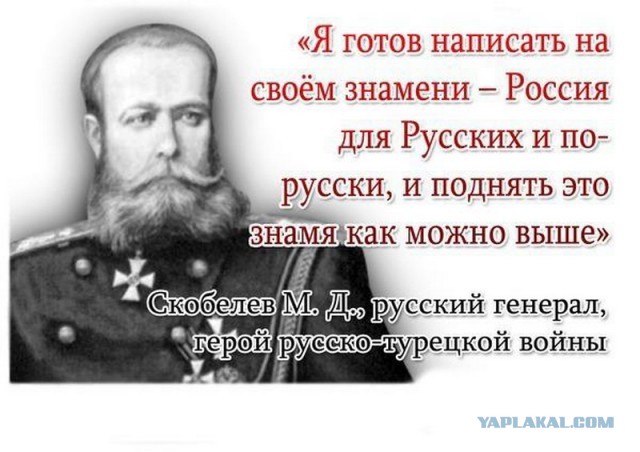 Путин поручил ужесточить меры против дискриминации по национальности в сети