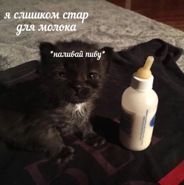 Всего понемногу. От 1.11.23
