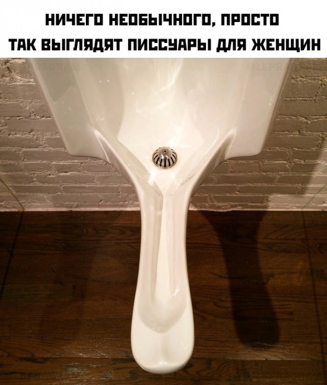 Весёлый полтишок 13.03.24