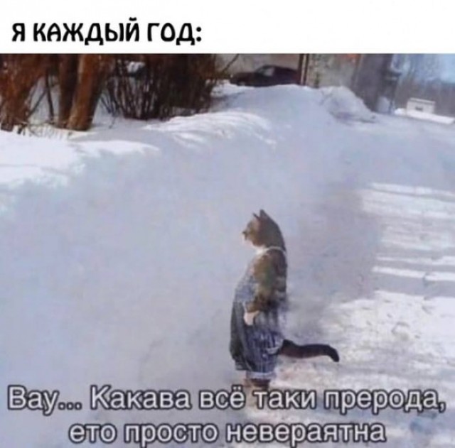 Какова была пред-инстинктная Шэрон Стоун