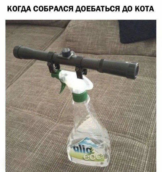 Никакие картинки