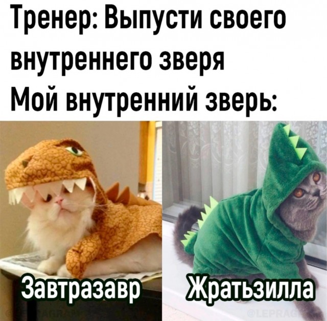 Весёлый полтишок 04.06.24