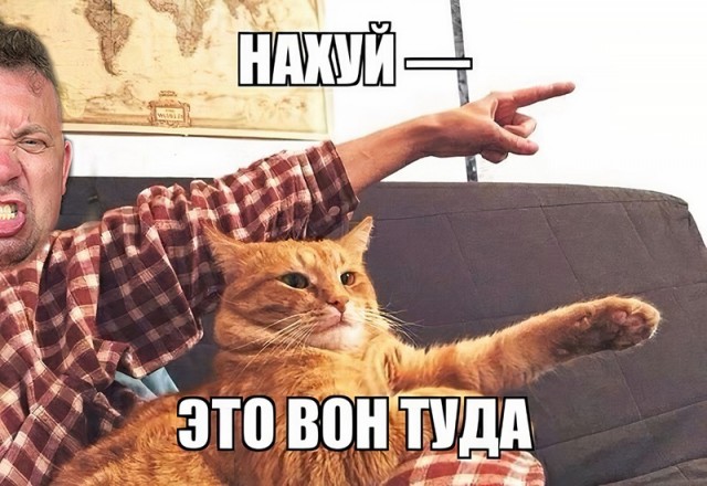 Это жыр!