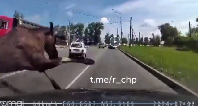 Сто раз могли оба затормозить, но все же упрямые и принципиальные...