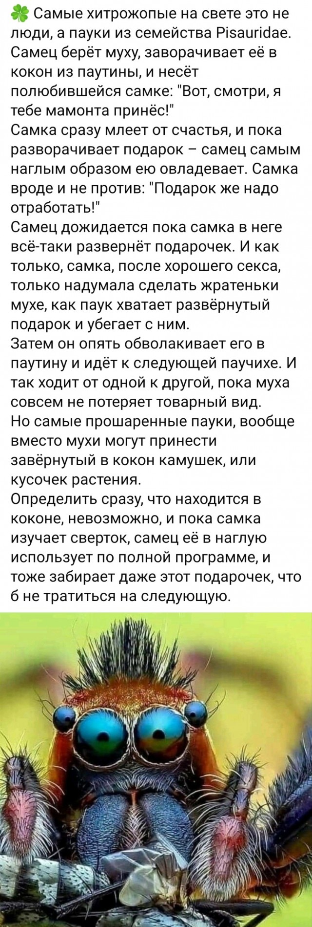 Так себе картинки 23.09.24