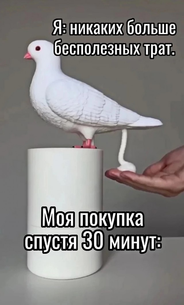 Так себе картинки 21.10.24
