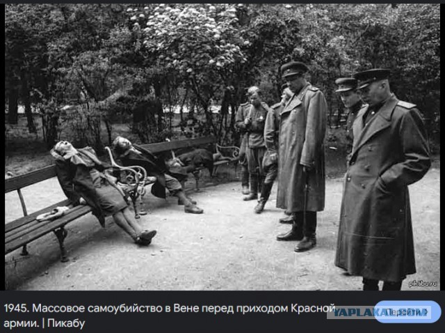 Житель Миннесоты огорчился из-за победы Трампа, убил жену, бывшую жену, двоих сыновей и покончил с собой