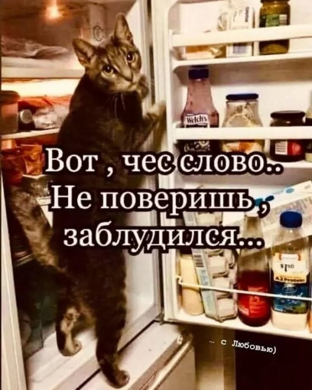 Завалялось тут случайно немного забавных картинок