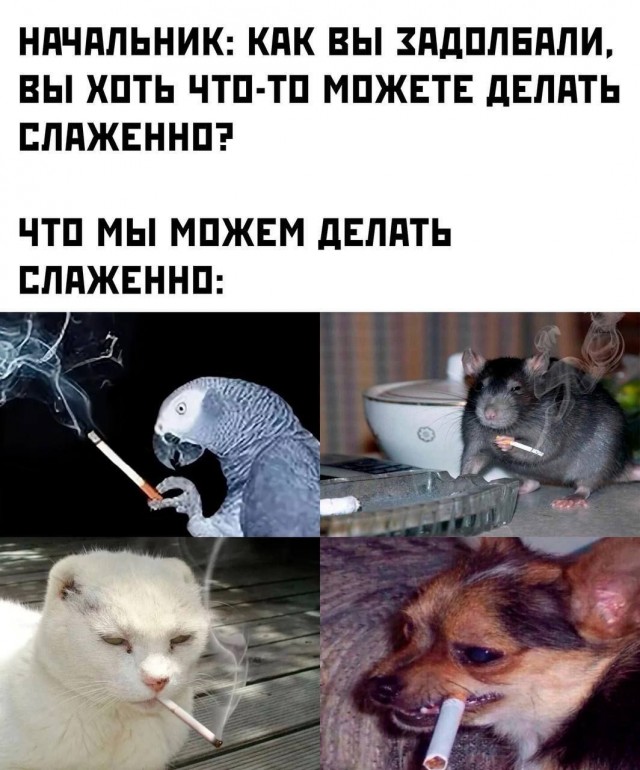 Завалялось тут случайно немного забавных картинок