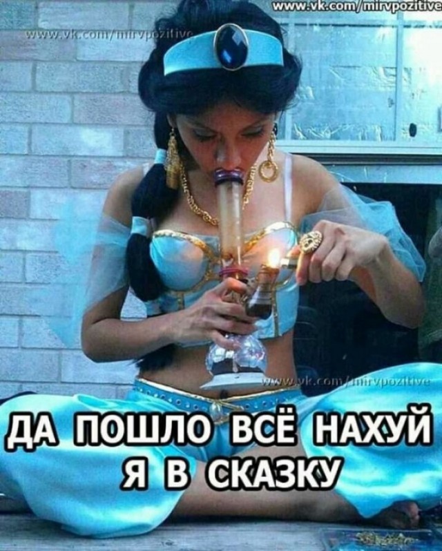 Весёлый полтишок 24.04.25