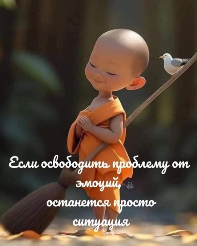 Прикольные и просто красивые картинки 16.05.2025