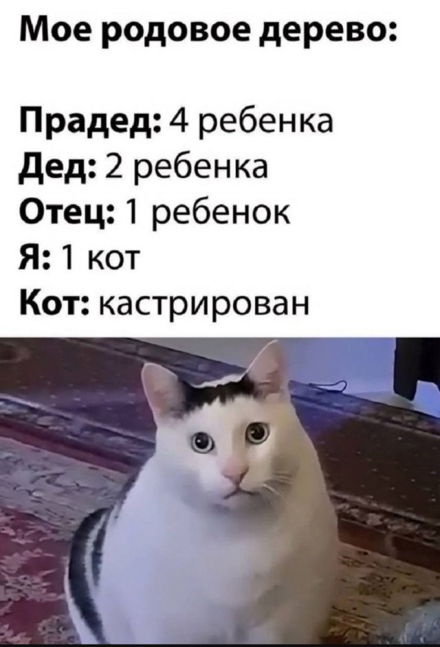 Юмор за день