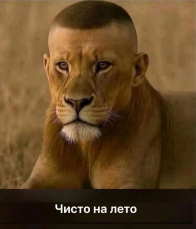 Архив старых картинок №2