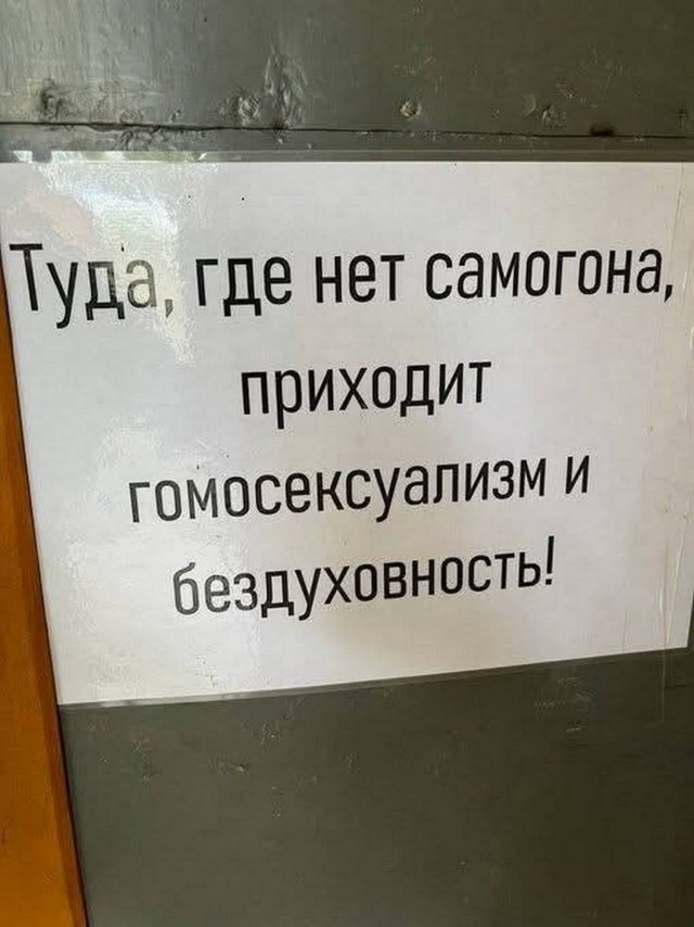 Веселые картинки в пятницу (11.07)