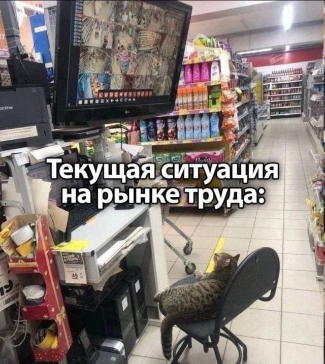 Веселые картинки в пятницу (12.09)