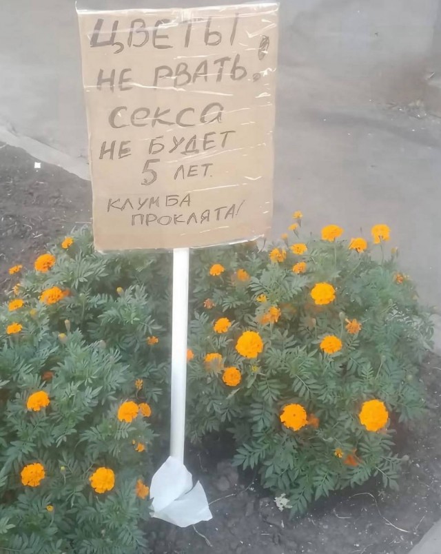 Всякая бредятина
