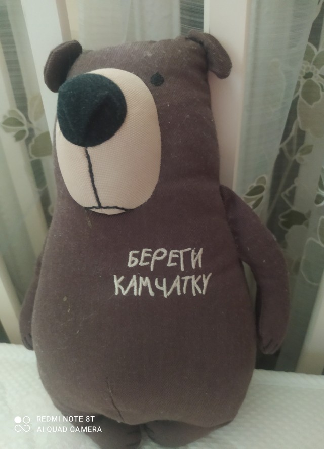 Долетели до Камчатки