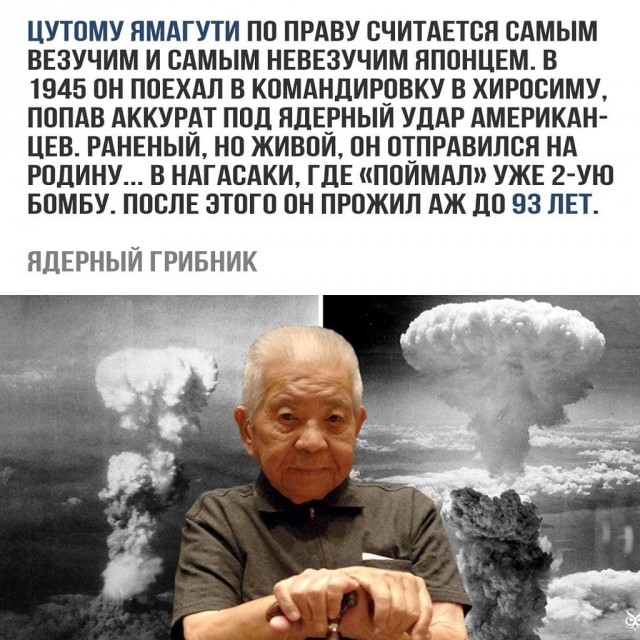 Рецидивист собиратель шишек