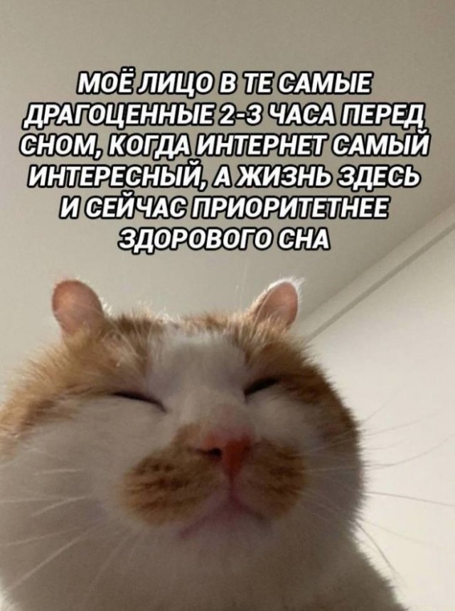 Картиночки, баянчики 09 февраля