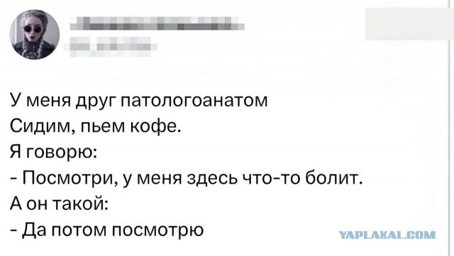 Веселые картинки в пятницу (20.03)