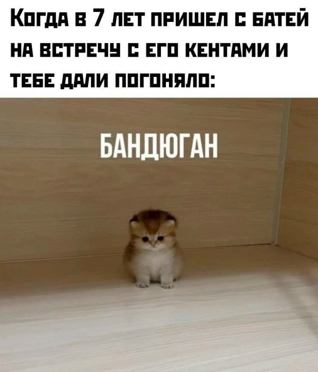 Картинки для деградации 212 (разной степени свежести)