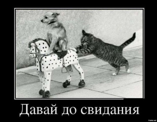 Альтернативный клиент Telegram "Телега" прекращает работу