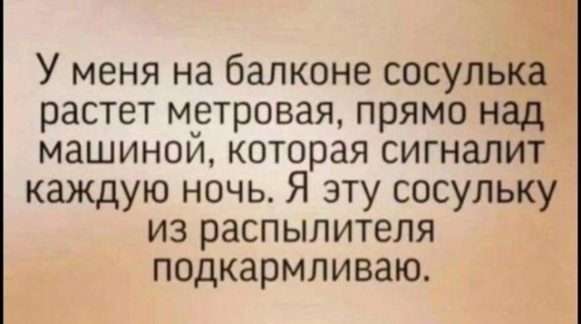 Картинки для деградации 245 (разной степени свежести)