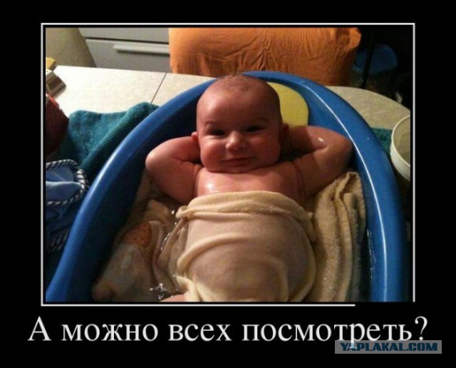 А вы ходили на выборы?
