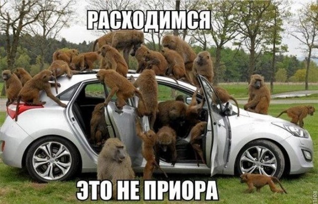 Авто которое никого не оставило равнодушным