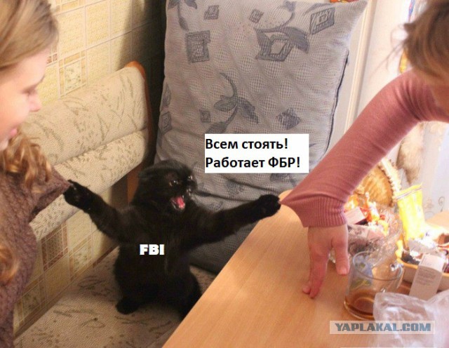 Стоять бояться!