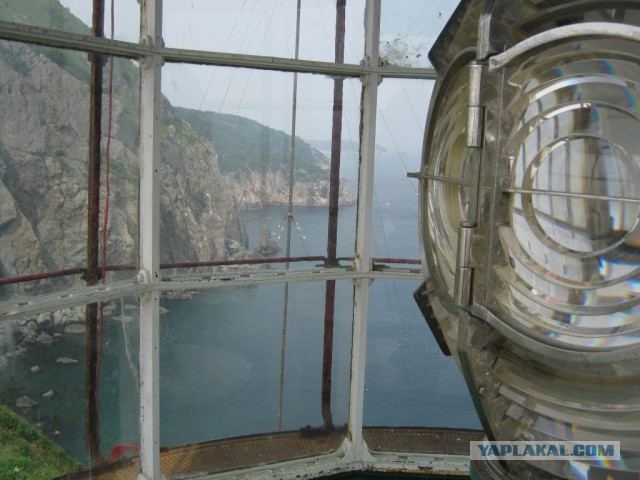 Природа Приморского края