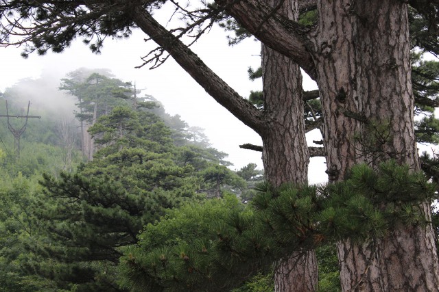 Отчёт о поездке в Крым 12.07 - 29.07