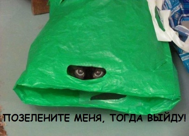 Добряки, плюсующие всех подряд