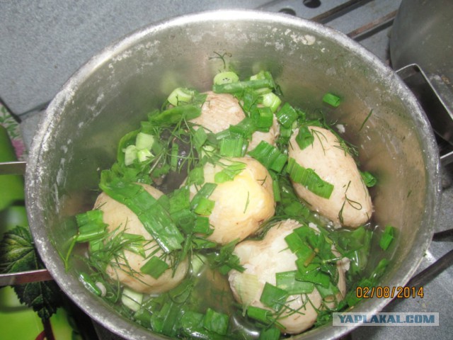 Чем мы бесим Америку и страдальцев по фуагра,