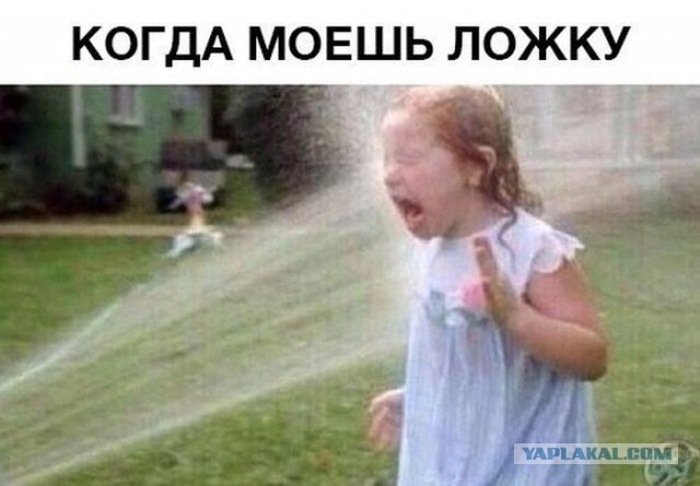 Смешные комментарии из соц сетей