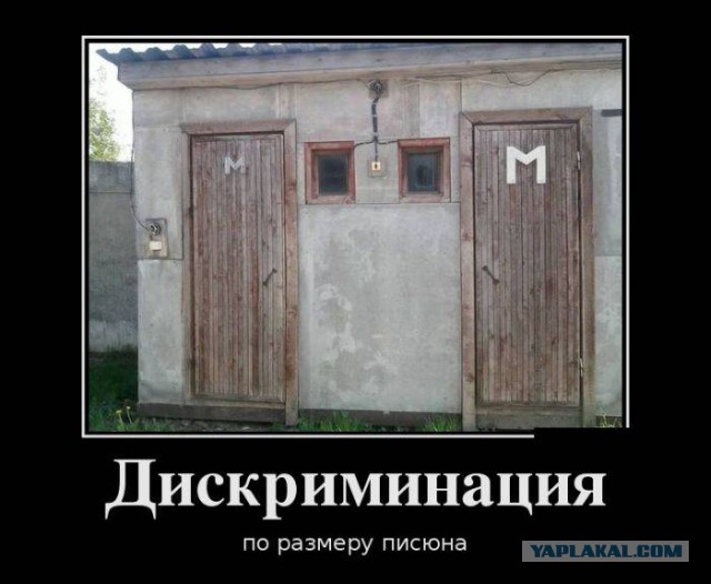 Весёлые картинки