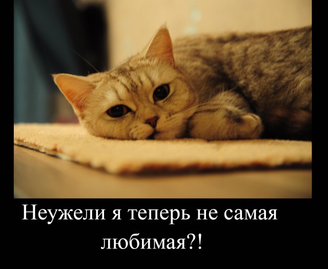 Все плохо