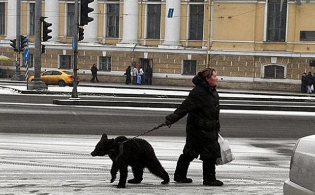 Это Россия, детка