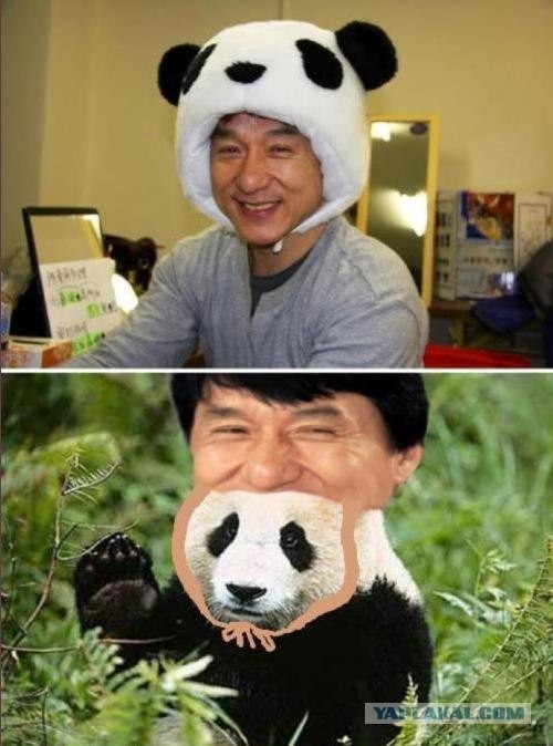 Джеки и шапка