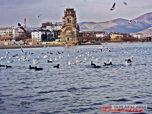 Хороший Новороссийск