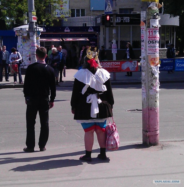 Выпускницы 2012...