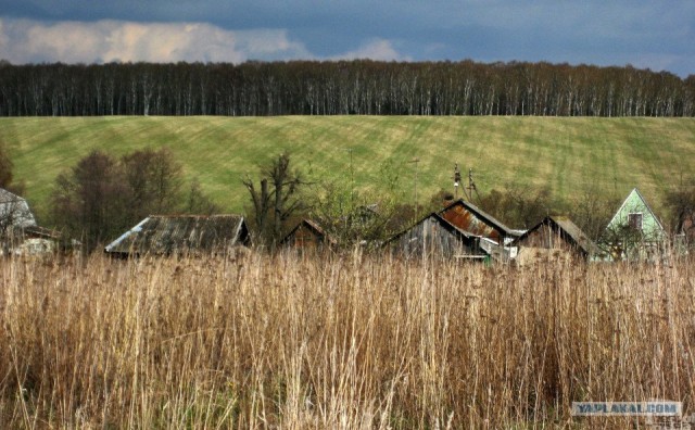 Россия в фотографиях, первая половина 2012