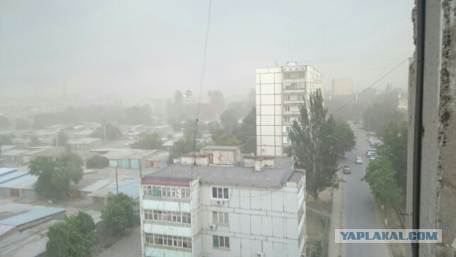 40 фактов о климате России, которые вы не знали