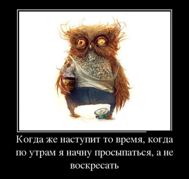 Очередная порция картинокначерномфоне