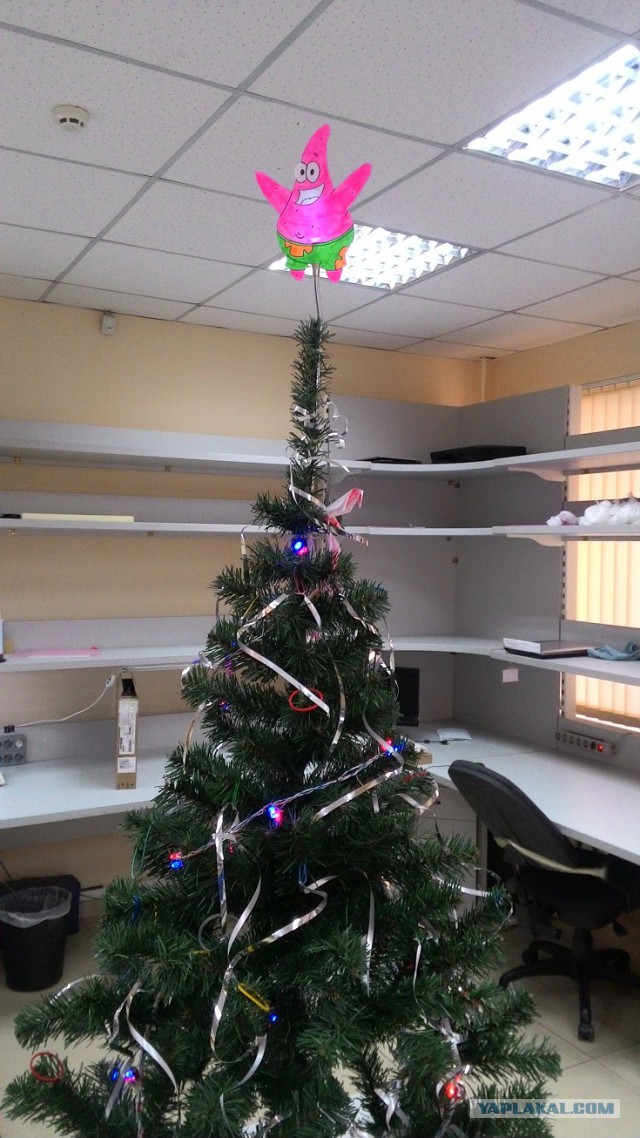 Немного картинок