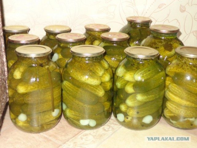 Украли почтовый ящик