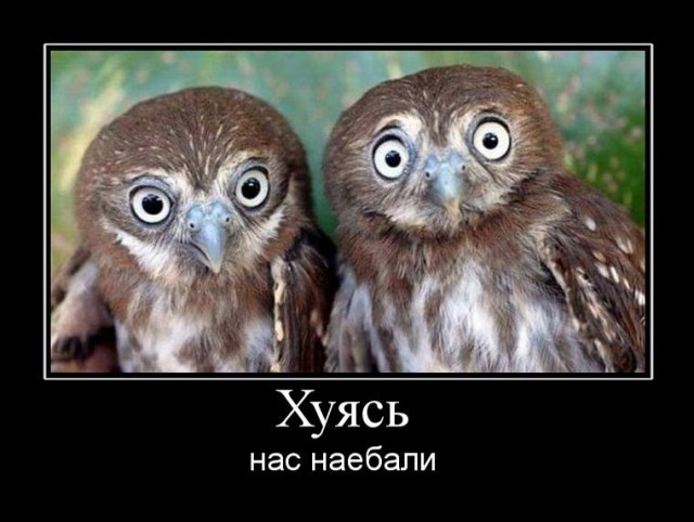 Wargaming 33