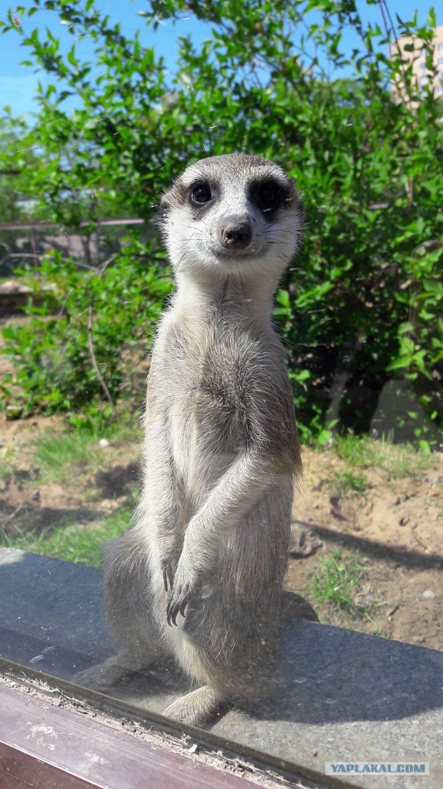 Подборка интересных и веселых фото