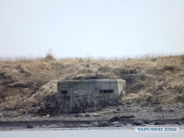 Советская Гавань. Побережье Татарского пролива - конец материка