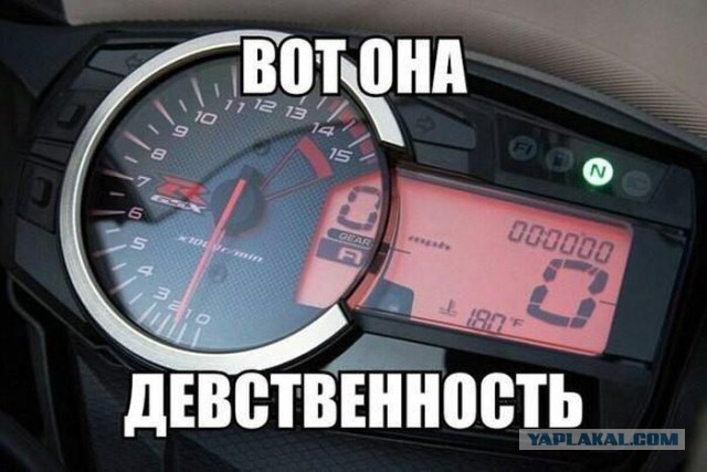 Картинки из интернетов